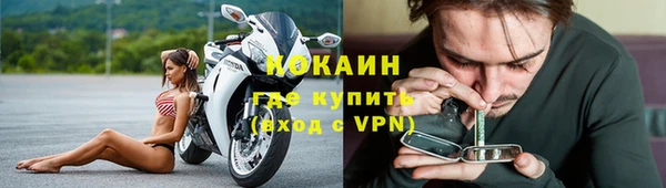 стаф Белокуриха