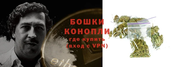 стаф Белокуриха