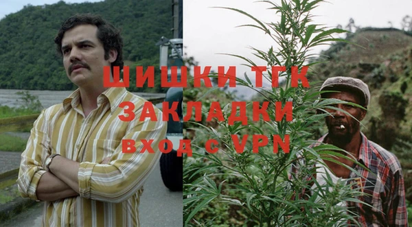 стаф Белокуриха