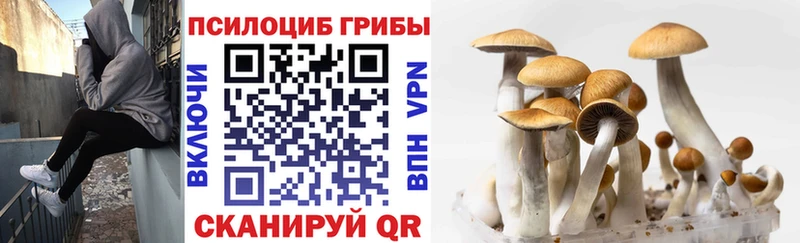 Галлюциногенные грибы прущие грибы Голицыно