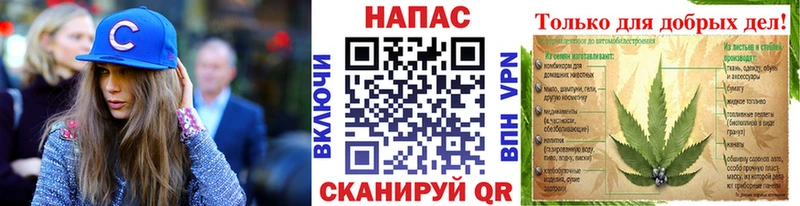 Марихуана конопля Голицыно